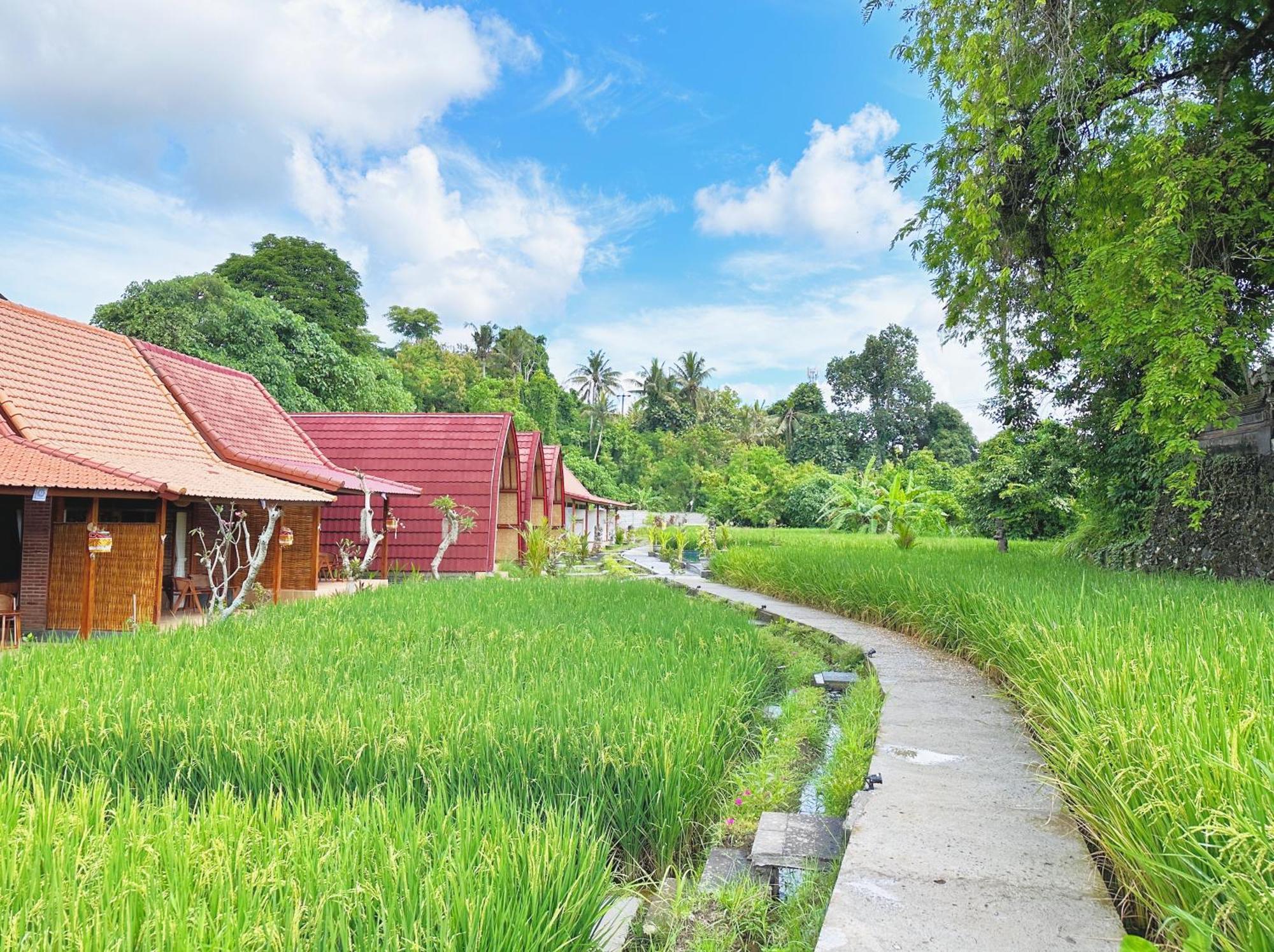 Uma Raos Cottage Ubud Dış mekan fotoğraf